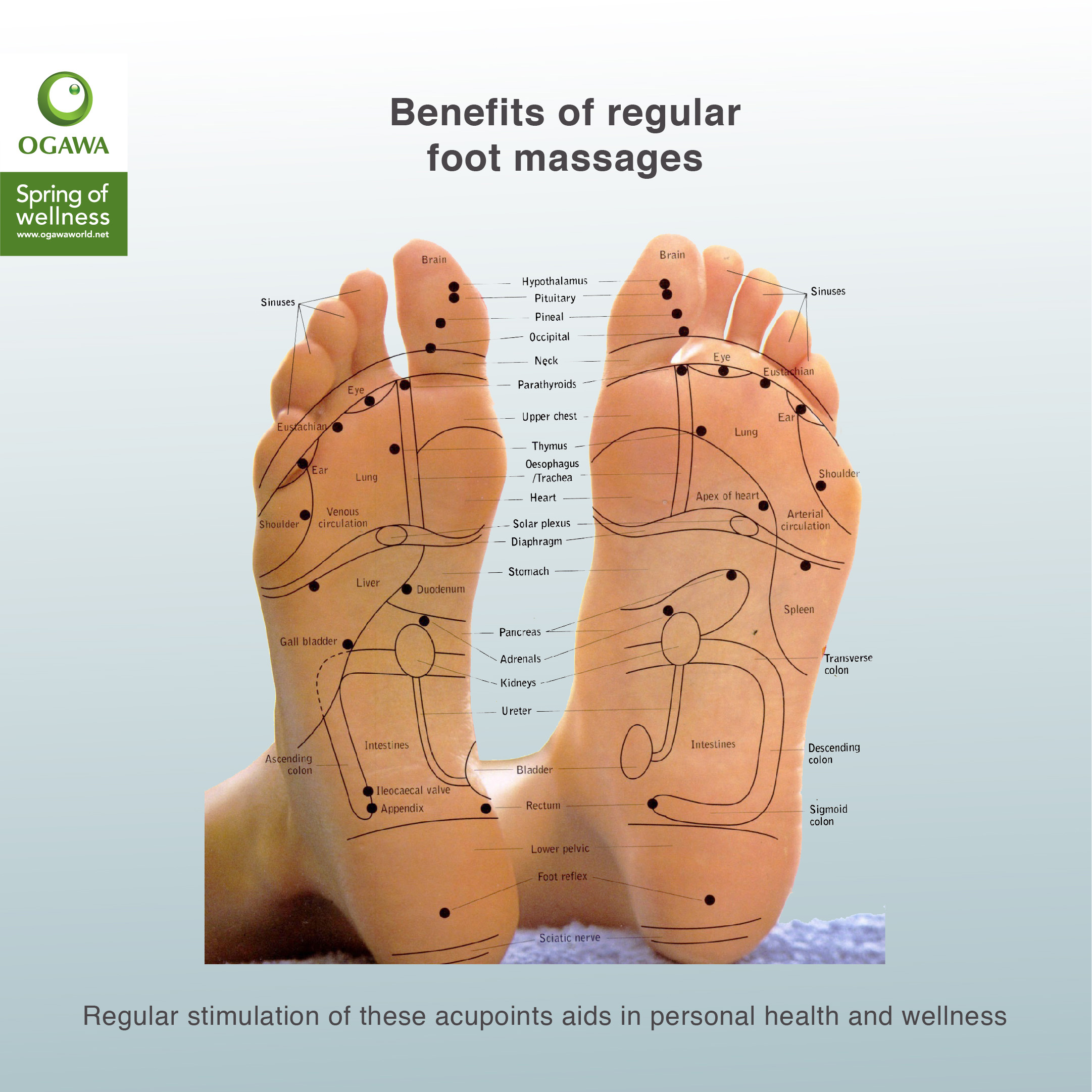 Apply Code 6TT31 OGAWA Acu Therapy Reflexology Foot Massager Black